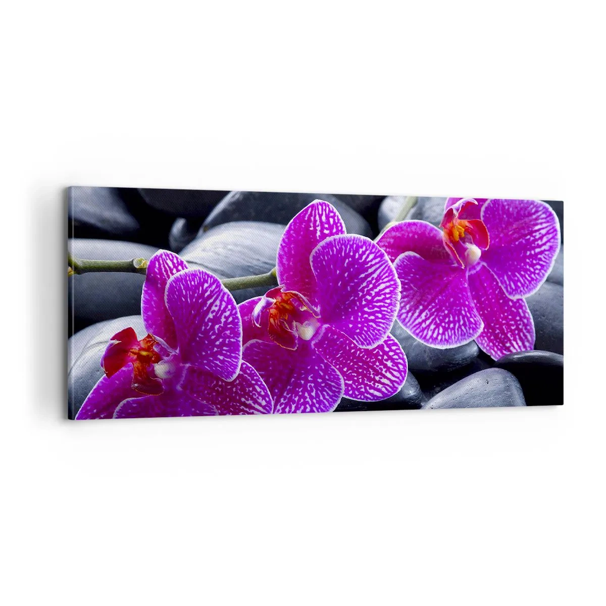 Lærredstryk - Billede på lærred - Stenene lyste op af glæde - 100x40 cm