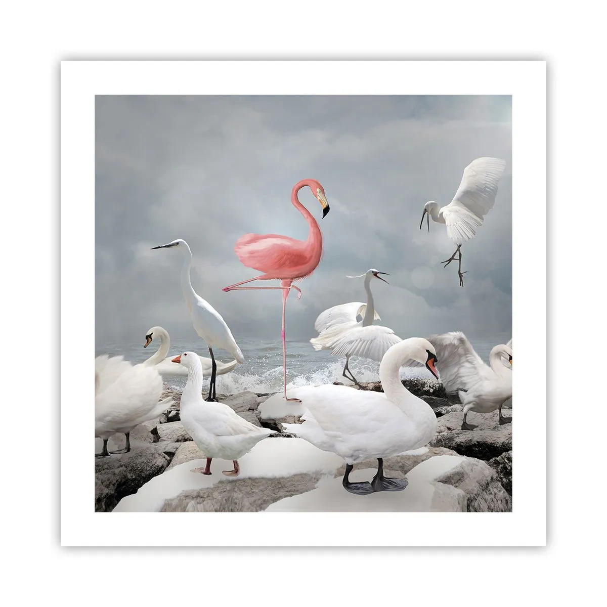 Plakat - Hvor kommer jeg fra? - 50x50 cm