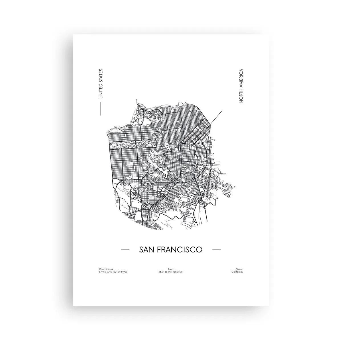 Plakat - San Franciscos anatomi - 50x70 cm