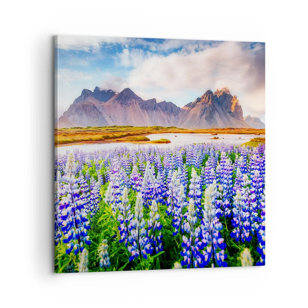 Lærredstryk - Billede på lærred - Styrke og strenghed ved siden af blidhed - 60x60 cm