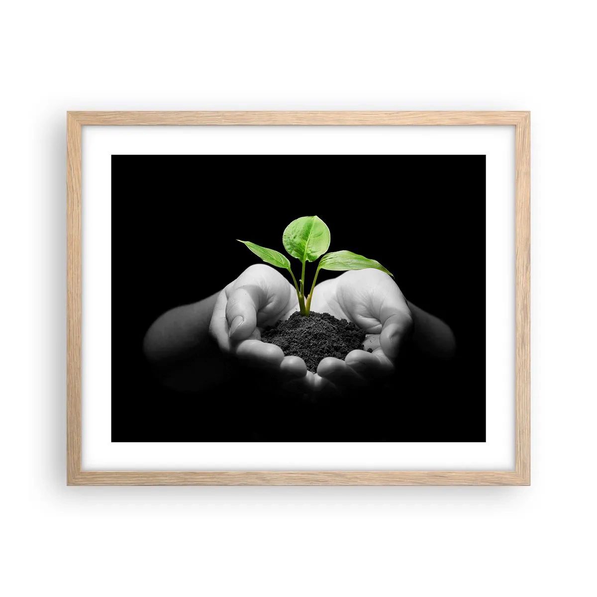 Plakat i ramme af lyst egetræ - Jeg elsker naturen, jeg beskytter den - 50x40 cm