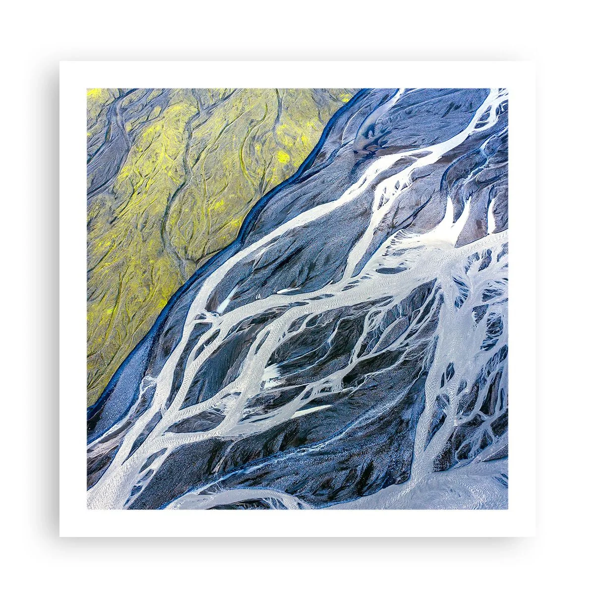 Plakat - Naturens hulemalerier - 60x60 cm