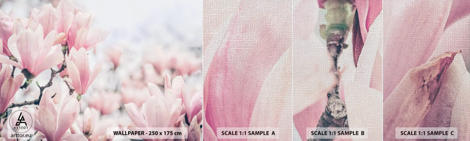Prøve Fototapet Premium Canvas - Idealet om subtilitet - Magnolia, Blomster, Magnolia træ - 100x30 cm
