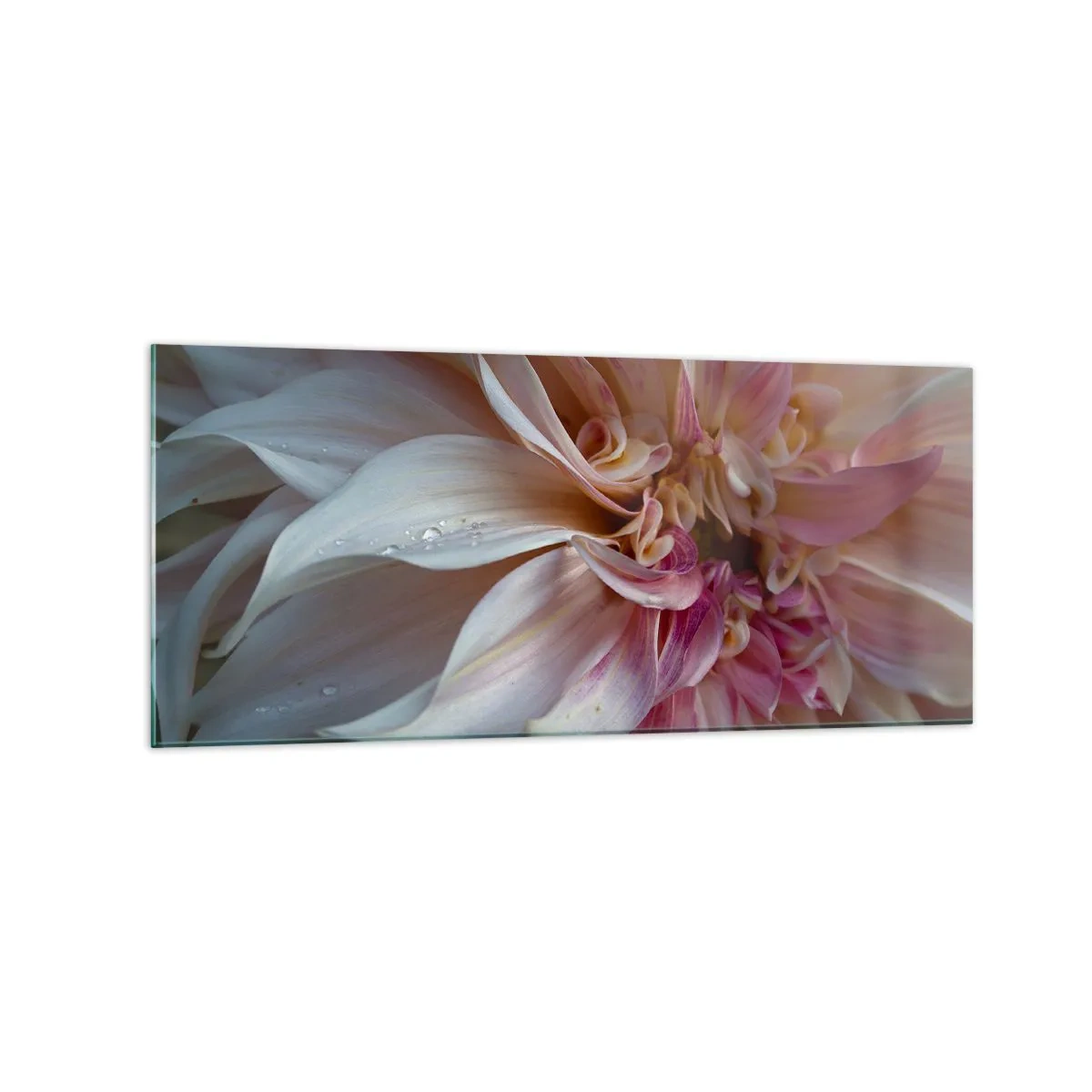 Billede på glas - Blomstrende friskhed - 120x50 cm