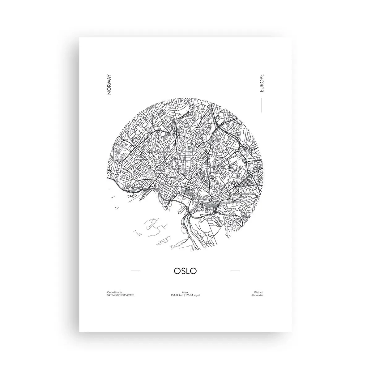 Plakat - Anatomi af Oslo - 50x70 cm