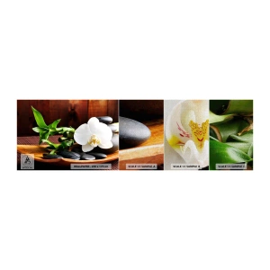 Prøve Fototapet Premium Canvas - Overgiv dig til naturens berøring - Blomster, Orkidé, Orkidé - 100x30 cm