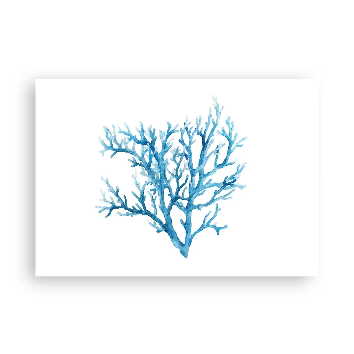 Plakat - Marint filigran - 100x70 cm