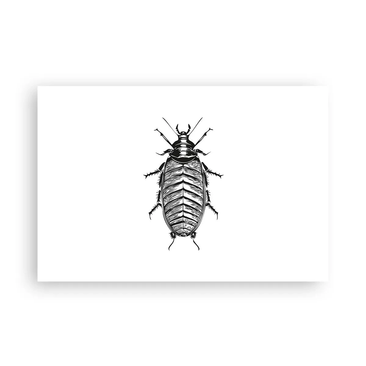 Plakat - Sikke et eksemplar! - 91x61 cm