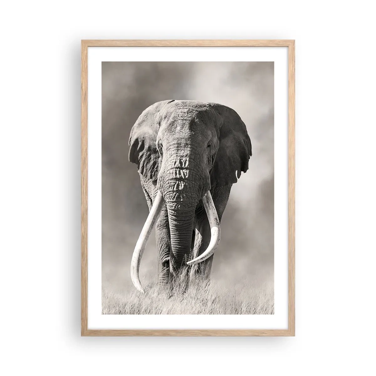 Plakat i ramme af lyst egetræ - Afrikansk patriark - 50x70 cm