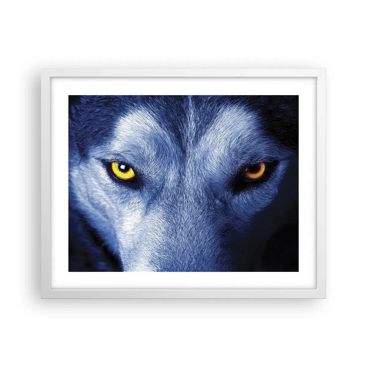 Plakat i hvid ramme - Et hypnotiserende udseende - 50x40 cm