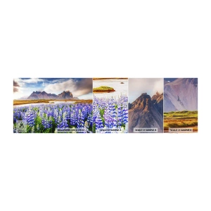 Fototapet Prøve Standard Eco - Styrke og strenghed ved siden af blidhed - Landskab, Bjerge, Blomster - 100x30 cm