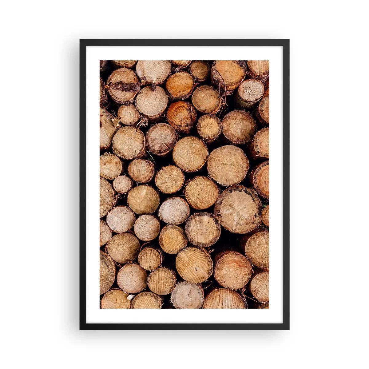 Plakat i sort ramme - Naturskårne træstammer i et kunstnerisk arrangement - 50x70cm - En ny begyndelse - Moderne vægdekoration til stue og soveværelse ARTTOR