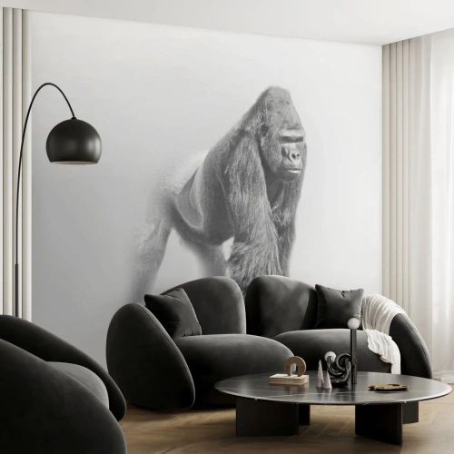Fototapet Premium Sand - Selvsikker på sin styrke - Dyr, Gorilla, Abe - 150x105 cm