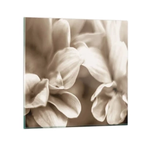 Billede på glas - Blid som et smil - 60x60 cm