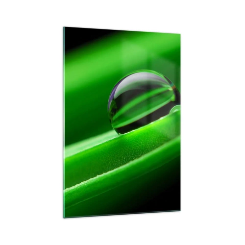 Billede på glas - Livet på tæt hold - 70x100 cm