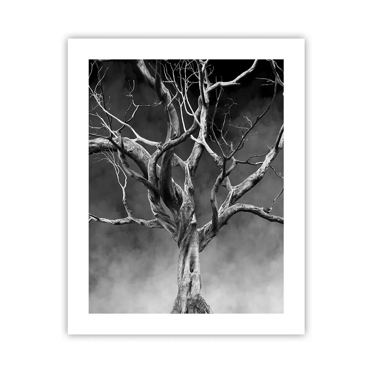 Plakat - Primær og hellig - 40x50 cm