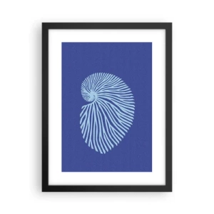 Plakat i sort ramme - Fødsel af en skal - 30x40 cm