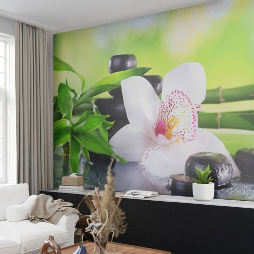 Fototapet Standard Eco - Kølig friskhed - Bambus, Blomst, Orkidé - 400x280 cm