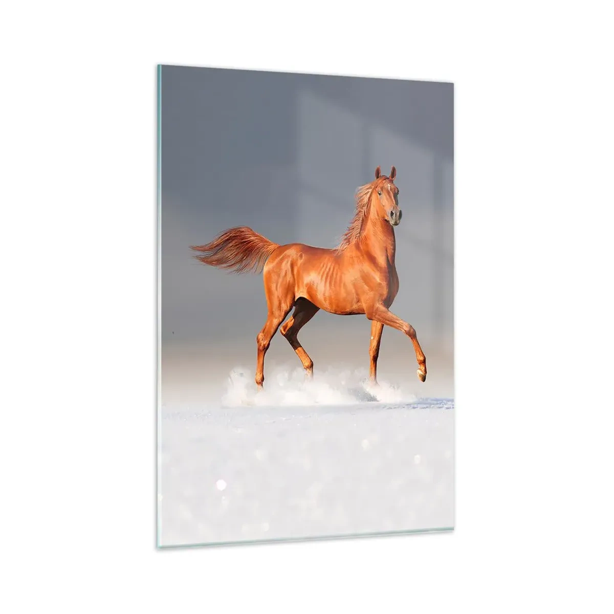 Billede på glas - Dansende ynde - 80x120 cm