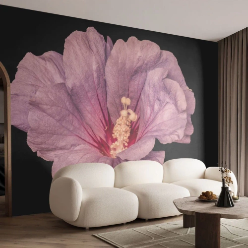 Fototapet Standard Eco - Lige i hjertet - Blomst, Stykke, Grafik - 400x280 cm