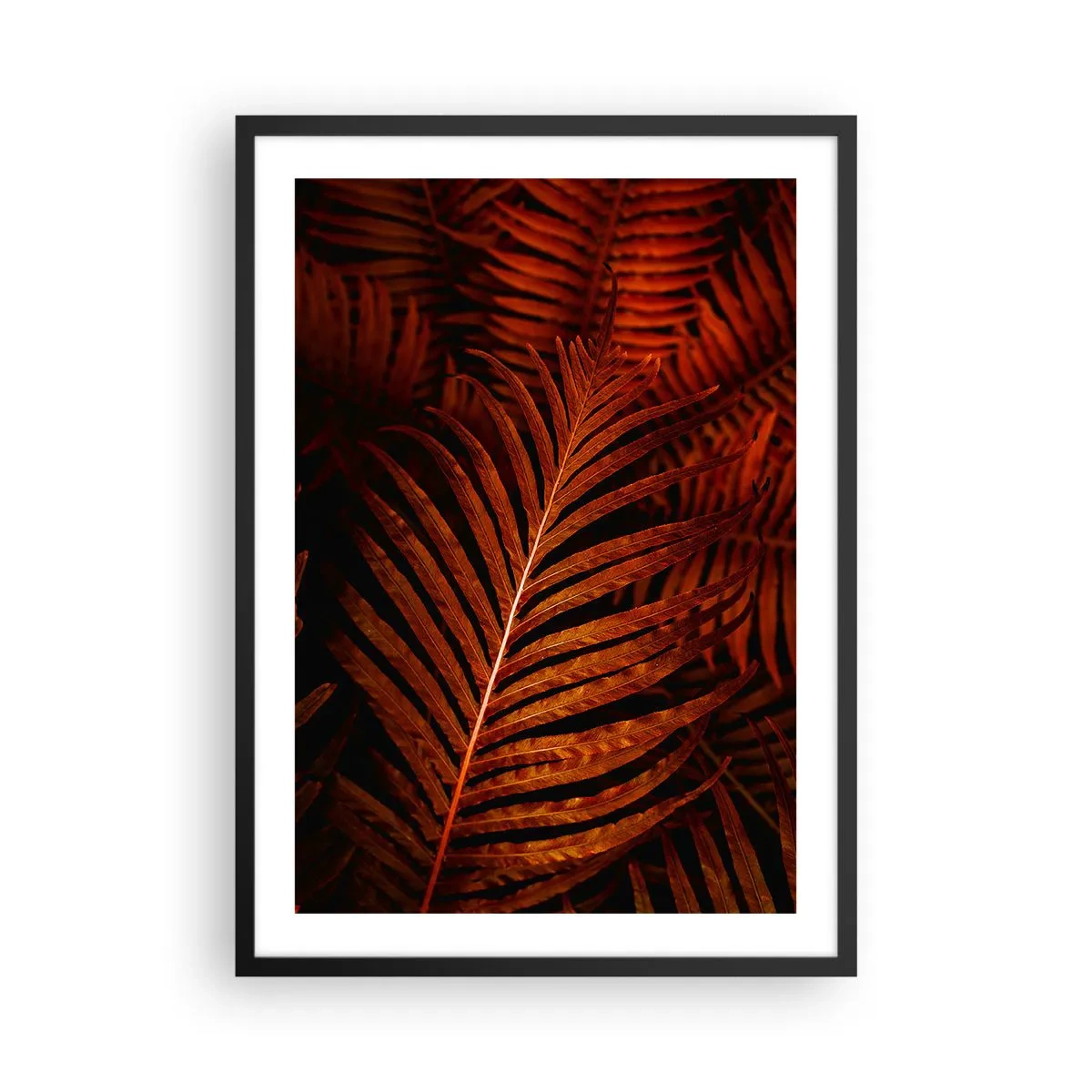 Plakat i sort ramme - Røde palmeblade i kunstnerisk belysning - 50x70cm - Livets varme - Moderne vægdekoration til stue og soveværelse ARTTOR