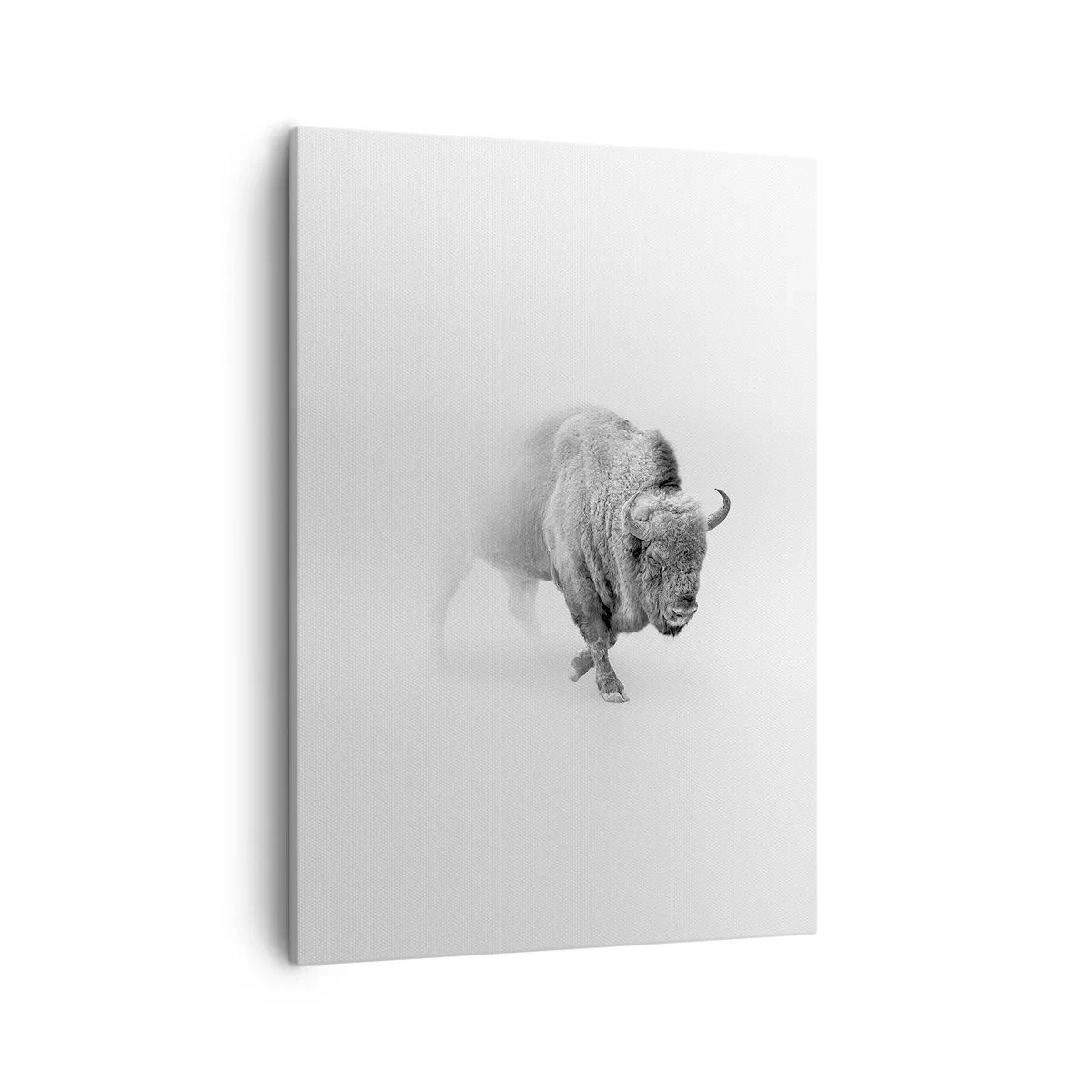Lærredstryk - Billede på lærred - Kongen af prærien - 50x70 cm