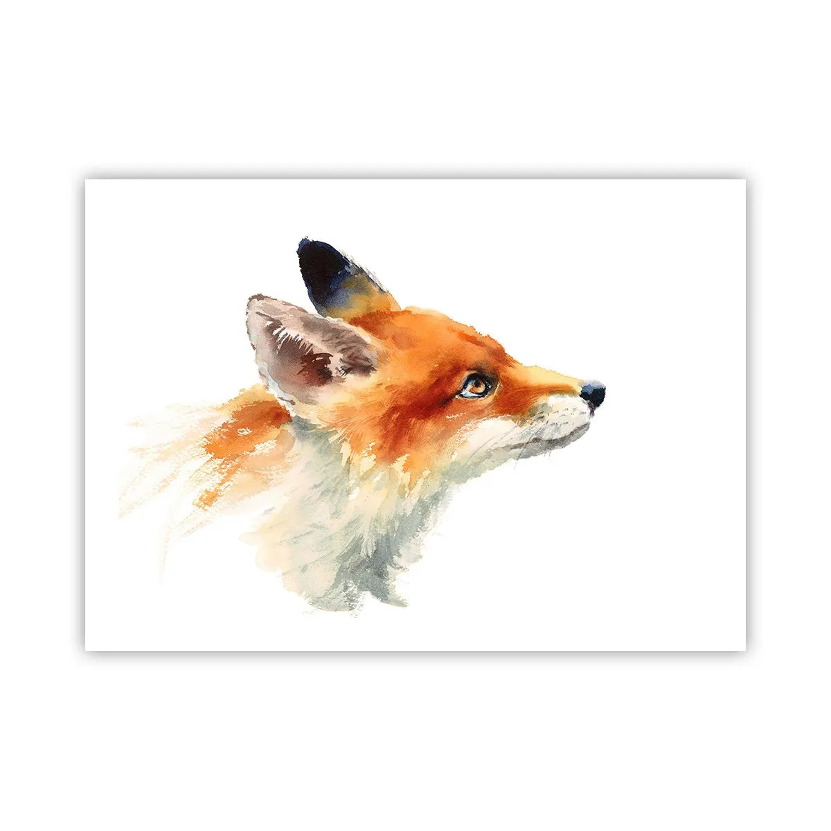 Plakat - Man kan aldrig være for forsigtig - 70x50 cm