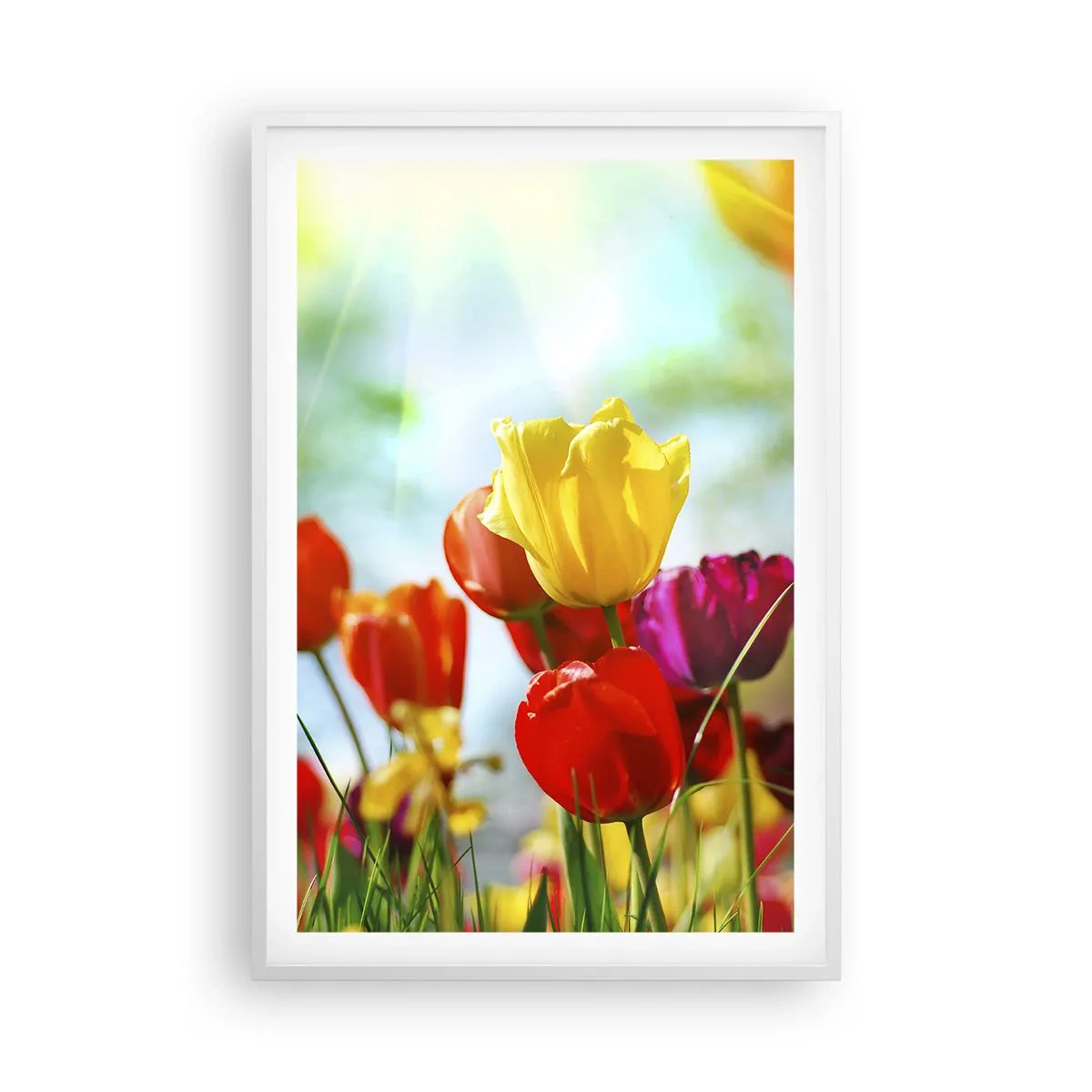 Plakat i hvid ramme - Alle solens farver - 61x91 cm