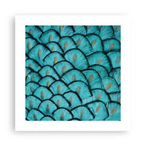Plakat - Den store fjer-galla - 40x40 cm