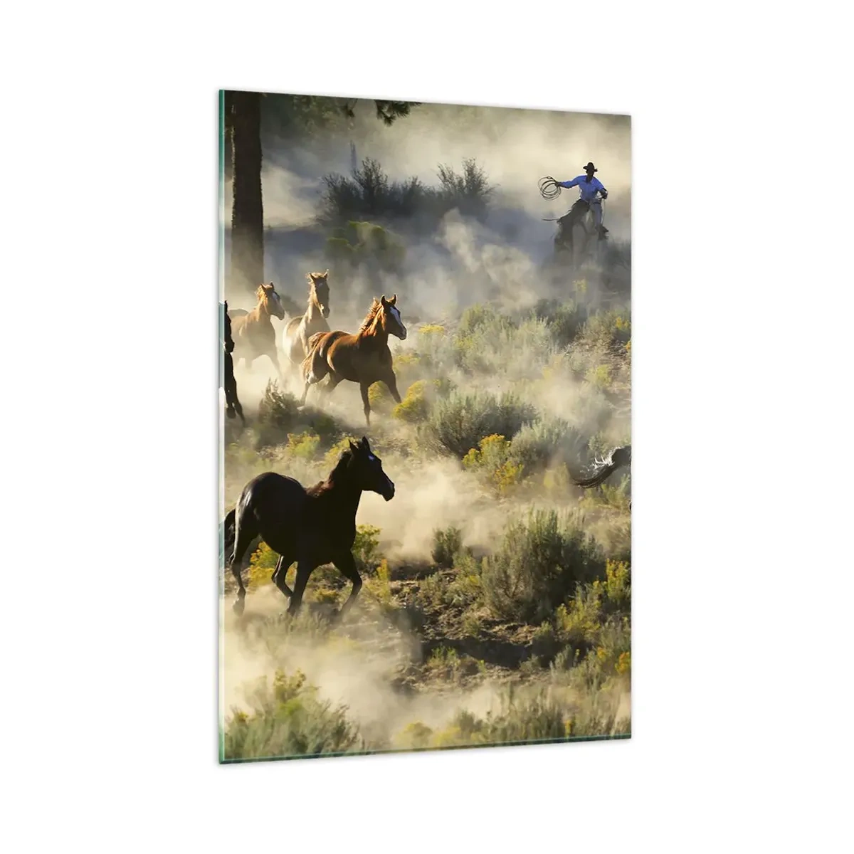 Billede på glas - Rivalisering - frihed eller maskulin kraft? - 80x120 cm