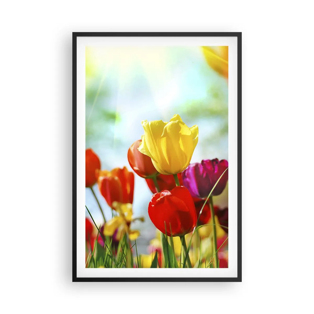 Plakat i sort ramme - Alle solens farver - 61x91 cm