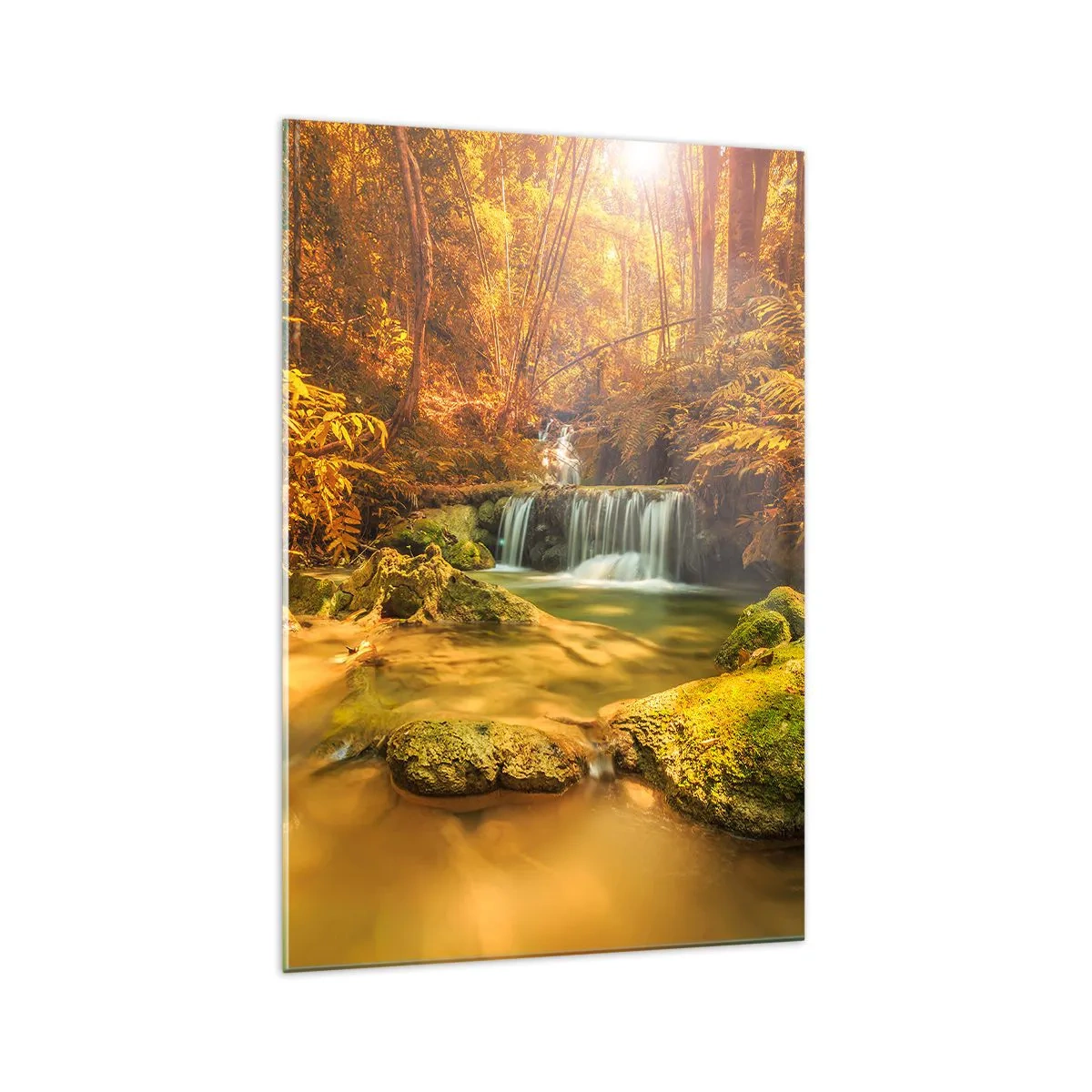 Billede på glas - Skovkaskade i guld - 70x100 cm