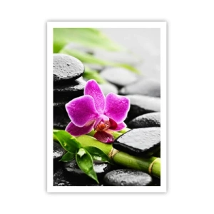 Plakat - I en fredelig balance - 70x100 cm