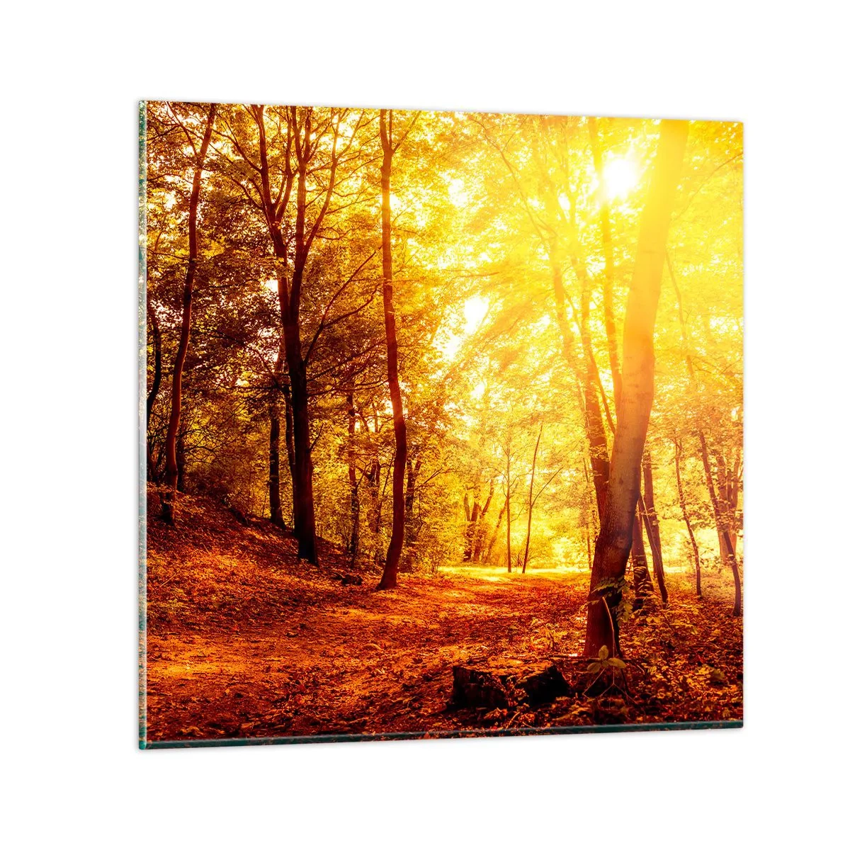 Billede på glas - Til den gyldne lysning - 40x40 cm