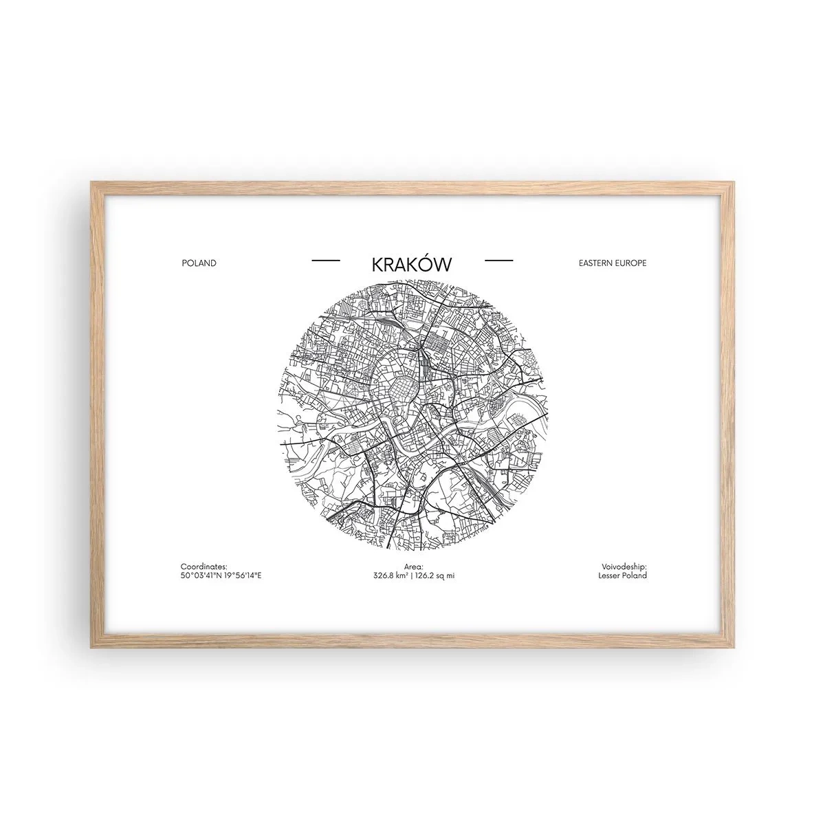 Plakat i ramme af lyst egetræ - Krakows anatomi - 70x50 cm