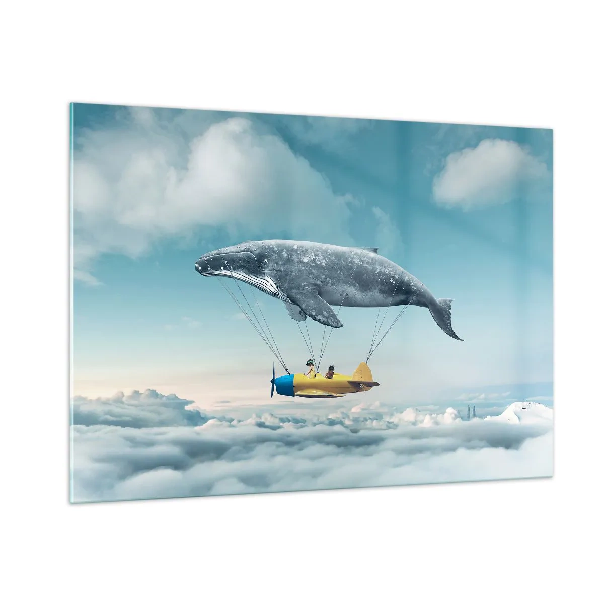 Billede på glas - Hvorfor ikke? - 100x70 cm