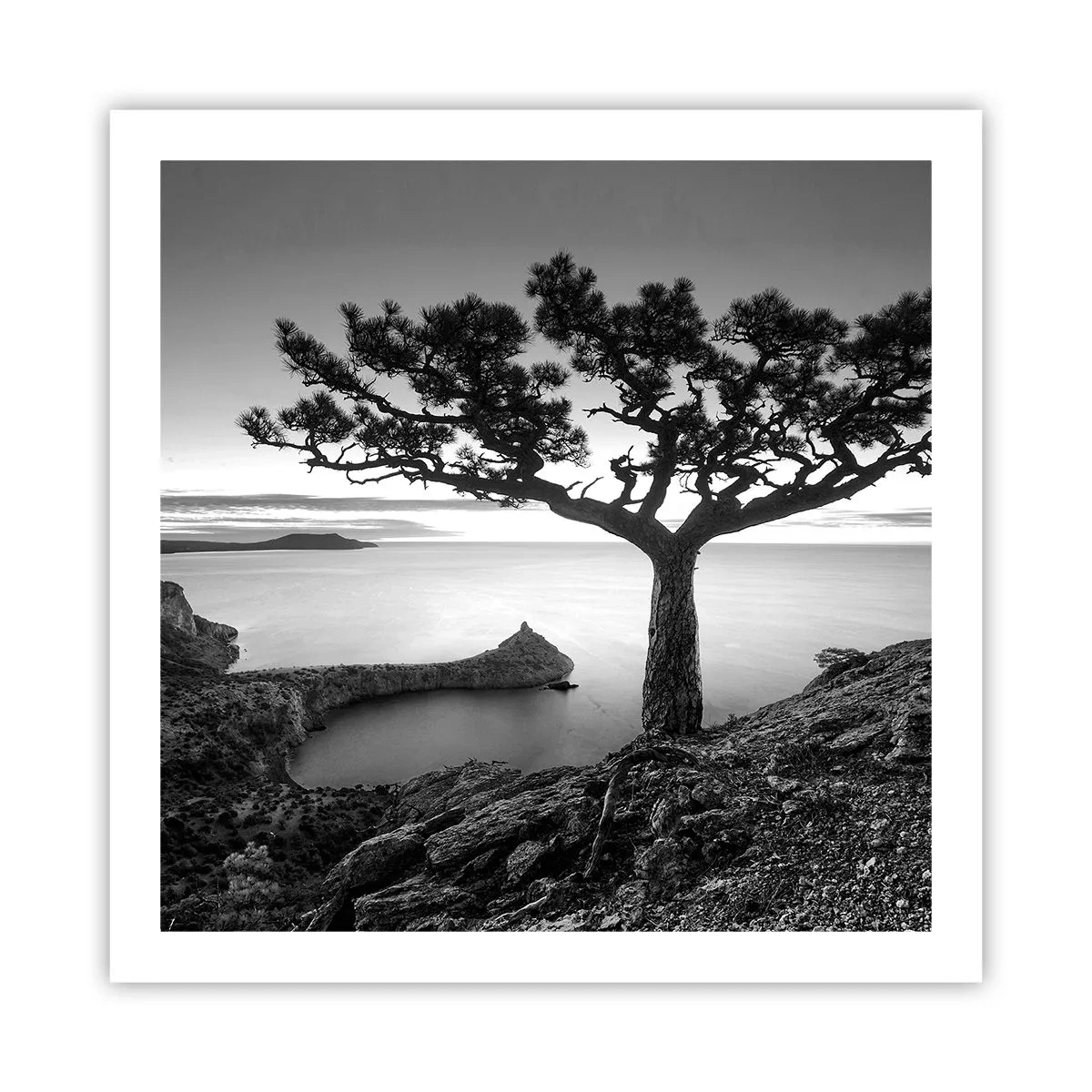 Plakat - Fred hele vejen til horisonten - 60x60 cm