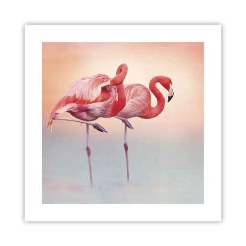 Plakat - I farven af den nedgående sol - 40x40 cm