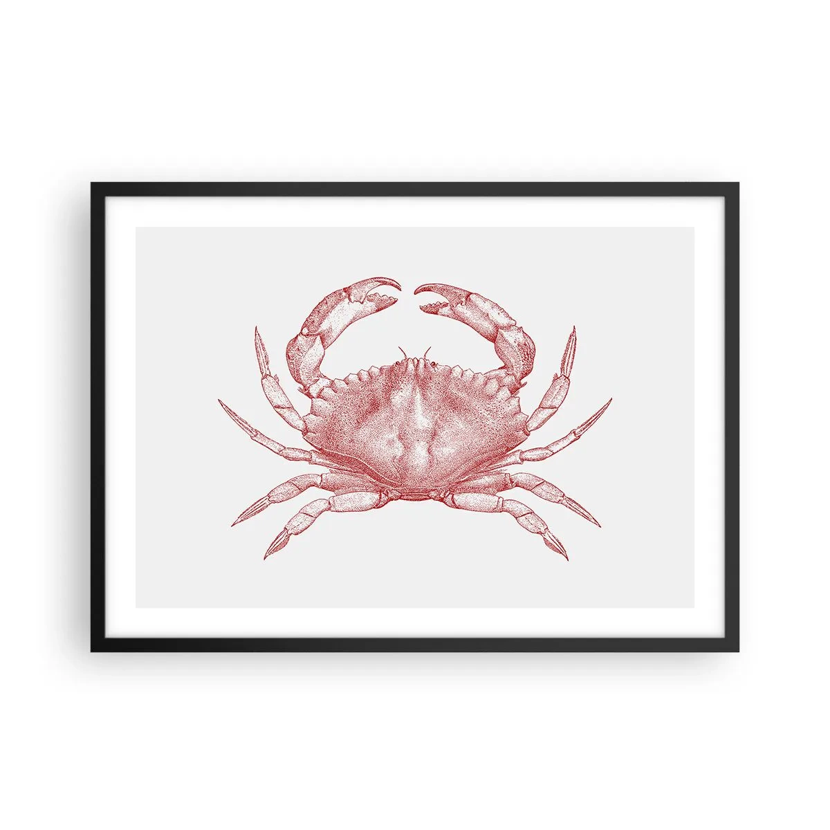 Plakat i sort ramme - Krabbe over krabber - 70x50 cm