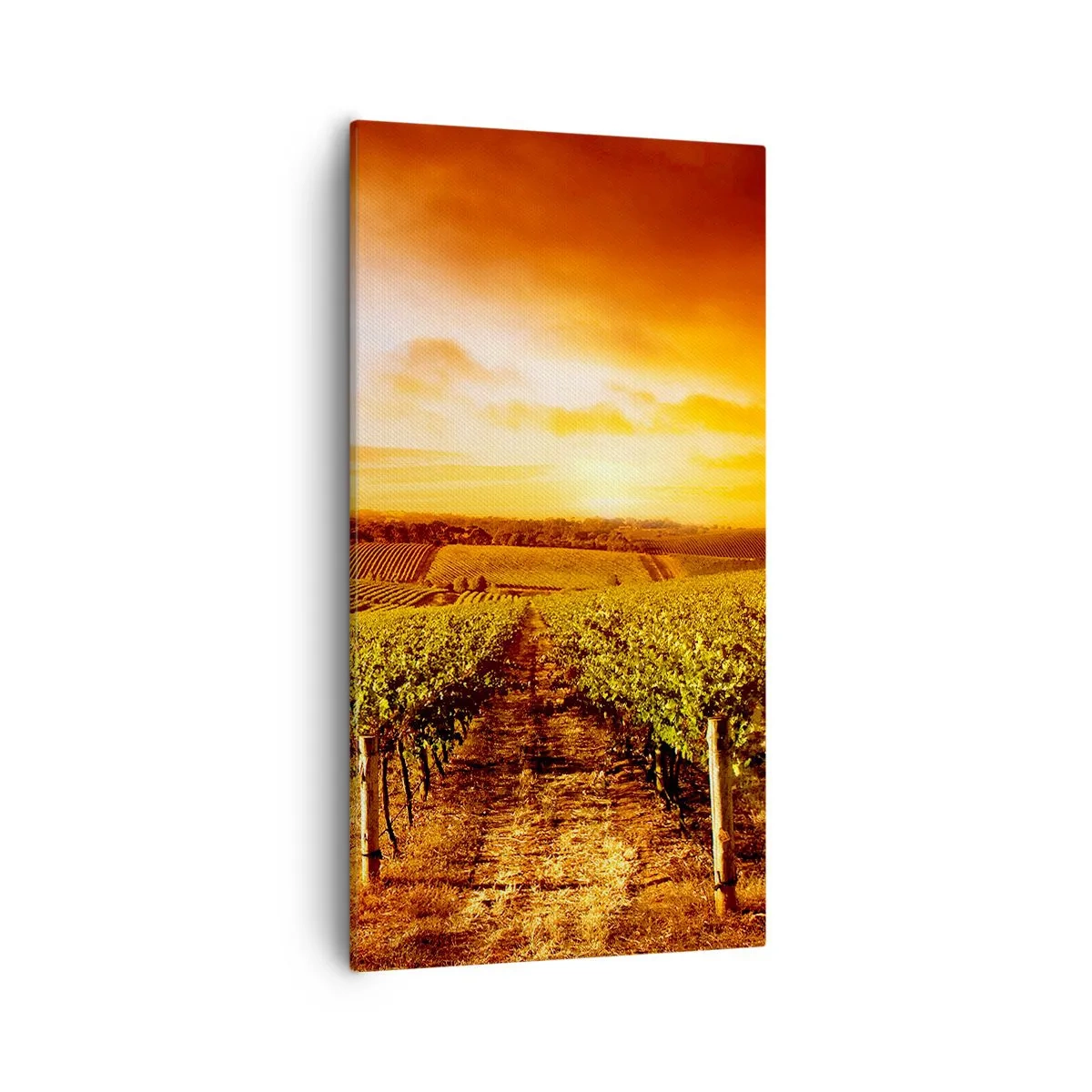 Lærredstryk - Billede på lærred - Delikat frugtagtig med et strejf af solskin - 55x100 cm