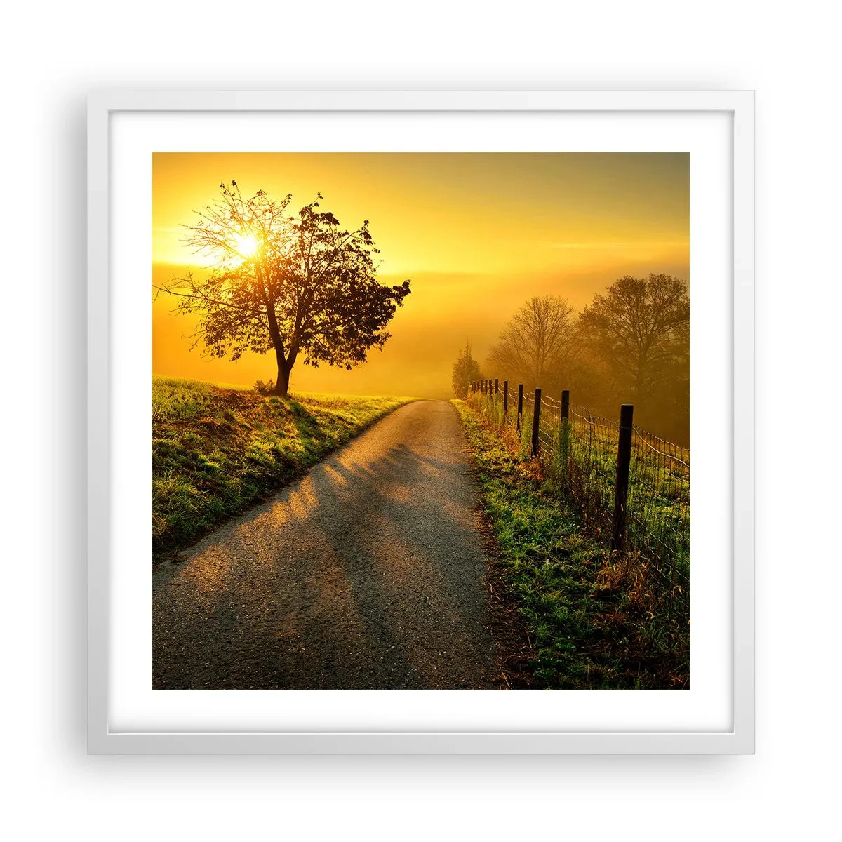 Plakat i hvid ramme - Kære eftermiddag - 50x50 cm