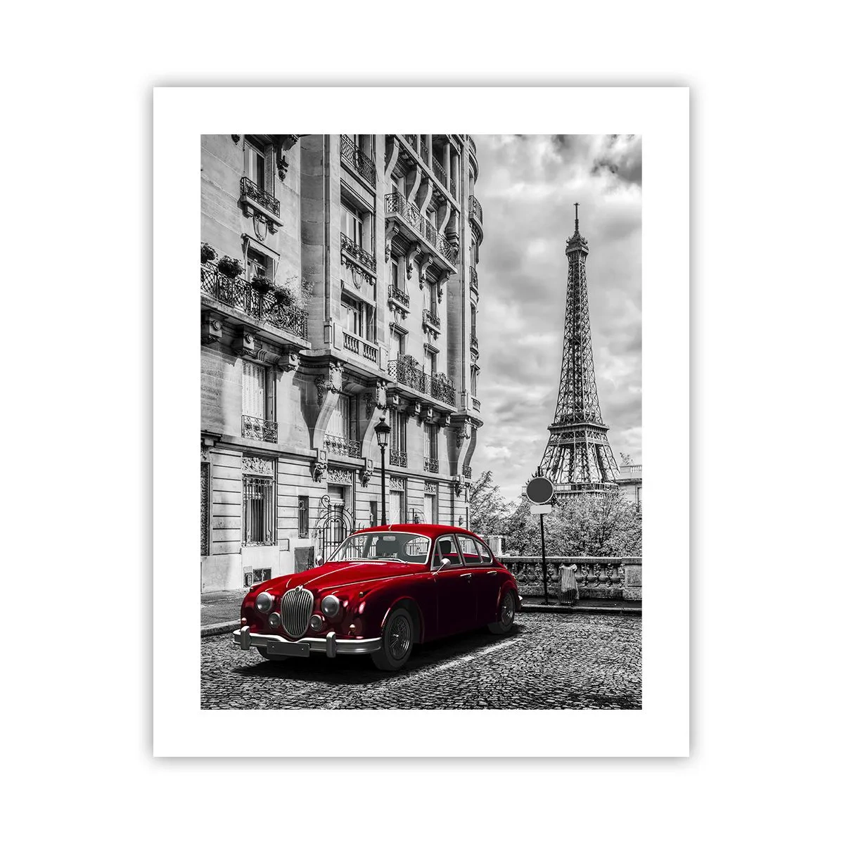 Plakat - Rovdyr i byen - 40x50 cm