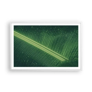 Plakat i hvid ramme - Grøn struktur - 91x61 cm