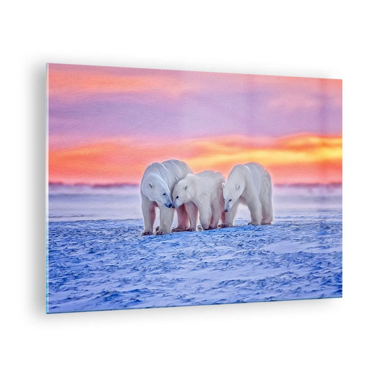 Billede på glas - Tre isbjørne på en snedækket baggrund ved solnedgang - 70x50cm - Familievarme er nok - Moderne vægdekoration til stue og soveværelse ARTTOR
