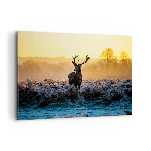 Lærredstryk - Billede på lærred - Kronet på sine godser - 120x80 cm