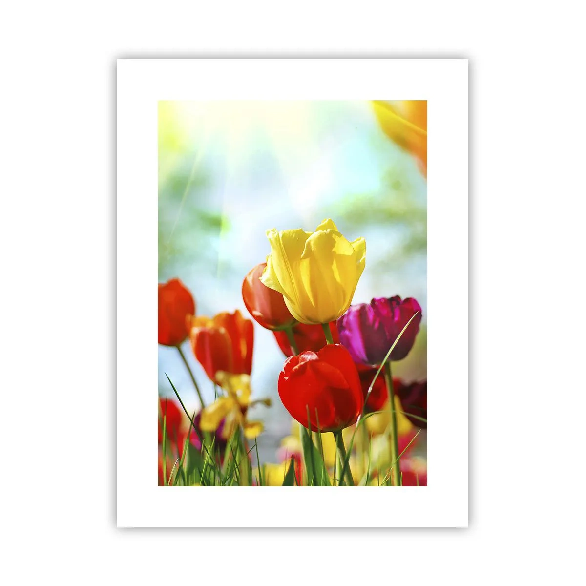 Plakat - Alle solens farver - 30x40 cm