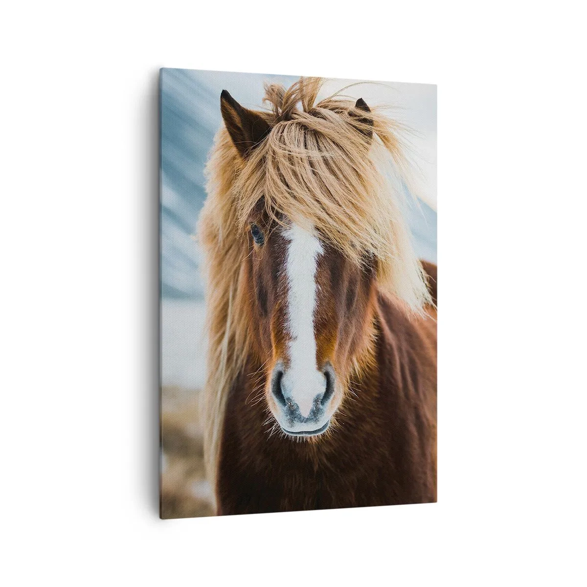 Lærredstryk - Billede på lærred - Kan du mærke friheden? - 70x100 cm