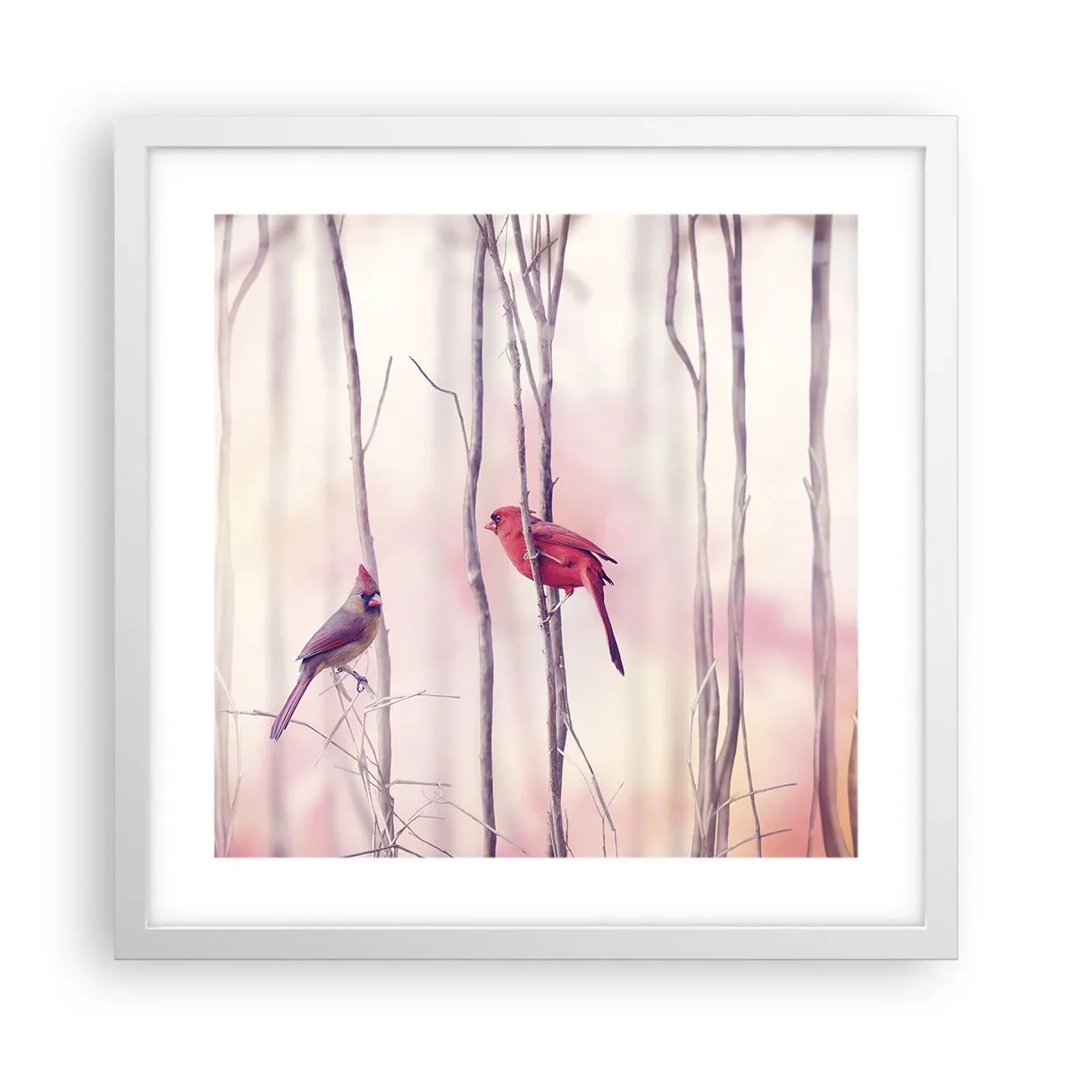 Plakat i hvid ramme - Fortællingen om den lyserøde skov - 40x40 cm
