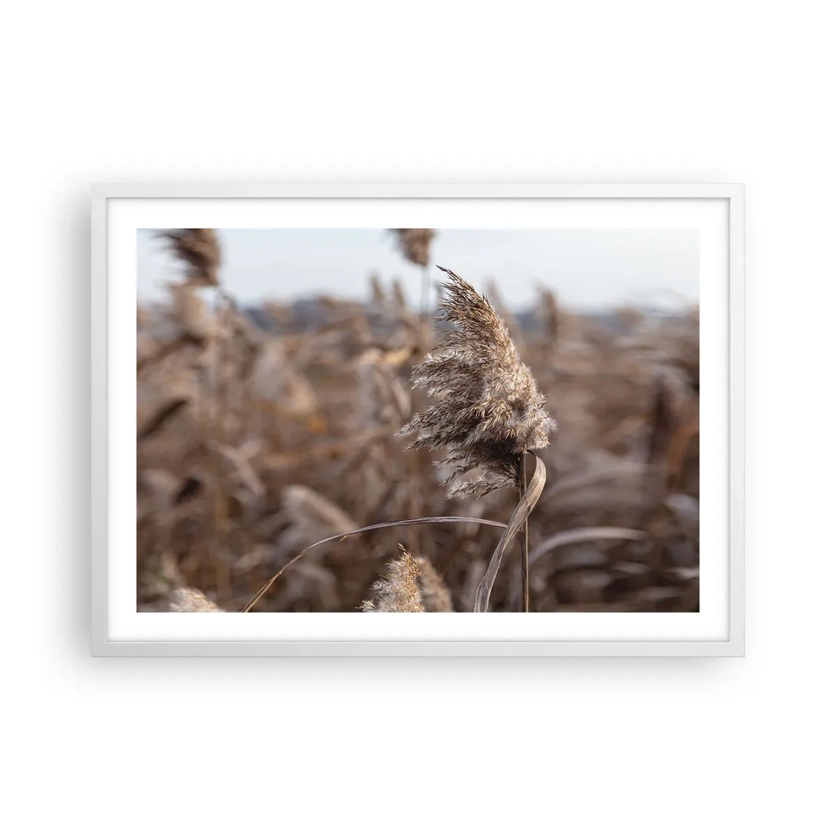 Plakat i hvid ramme - Tid til at flyve væk med vinden - 70x50 cm