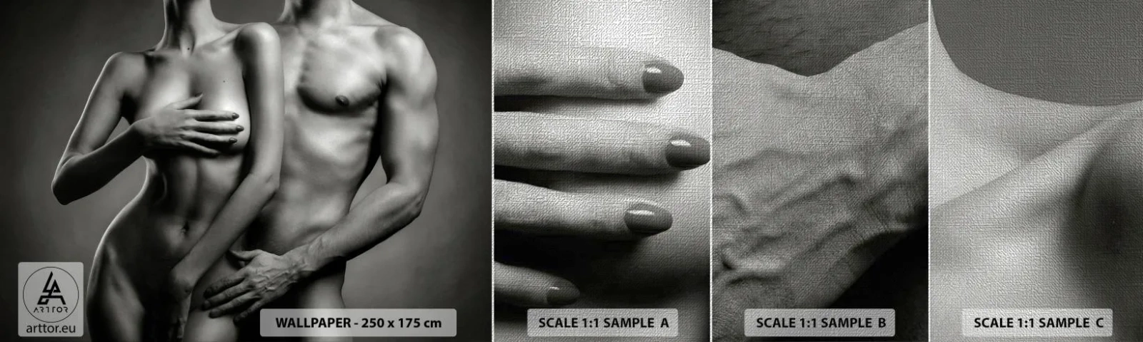 Prøve Fototapet Premium Canvas - Adam og Eva - Kvinde, Mand, Legeme - 100x30 cm